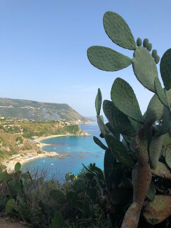 Apartmán La Marinette Tropea Exteriér fotografie